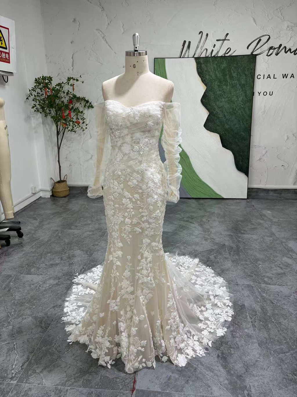 Illusion Mermaid Long Sleeve Lace Wedding Dress